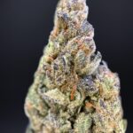 Strawberry Jack sativa hybrid cannabis flower from District Connect Washington DC weed delivery