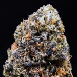 Papaya Punch indica hybrid cannabis strain with 27-29% THC for Washington DC, Virginia, Maryland, and Richmond VA weed delivery