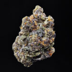 Purple Tangie cannabis strain, sativa, 28-32% THC, available for weed delivery in Washington DC, Virginia, Maryland, and Richmond VA