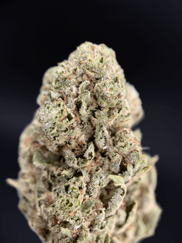 Raspberry Skywalker (Outdoor) – budget-friendly hybrid 15–18% THC, Washington DC cannabis delivery – District Connect