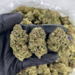 Dream Queen -district-connect-washington-dc-weed-delivery