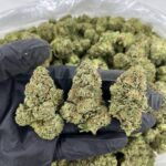 Russian Creme -district-connect-washington-dc-weed-delivery