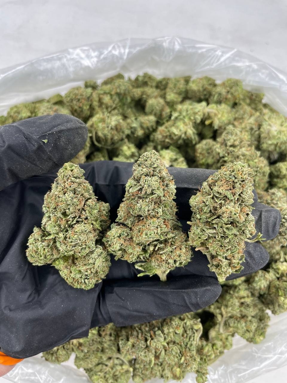 Russian Creme -district-connect-washington-dc-weed-delivery