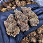 Space Runtz cannabis strain, hybrid, 29-32% THC, weed delivery in Washington DC, Virginia, Maryland, and Richmond VA