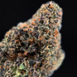 Zelato hybrid cannabis strain with THC 24-28% for Washington DC, Virginia, Maryland, and Richmond VA weed delivery