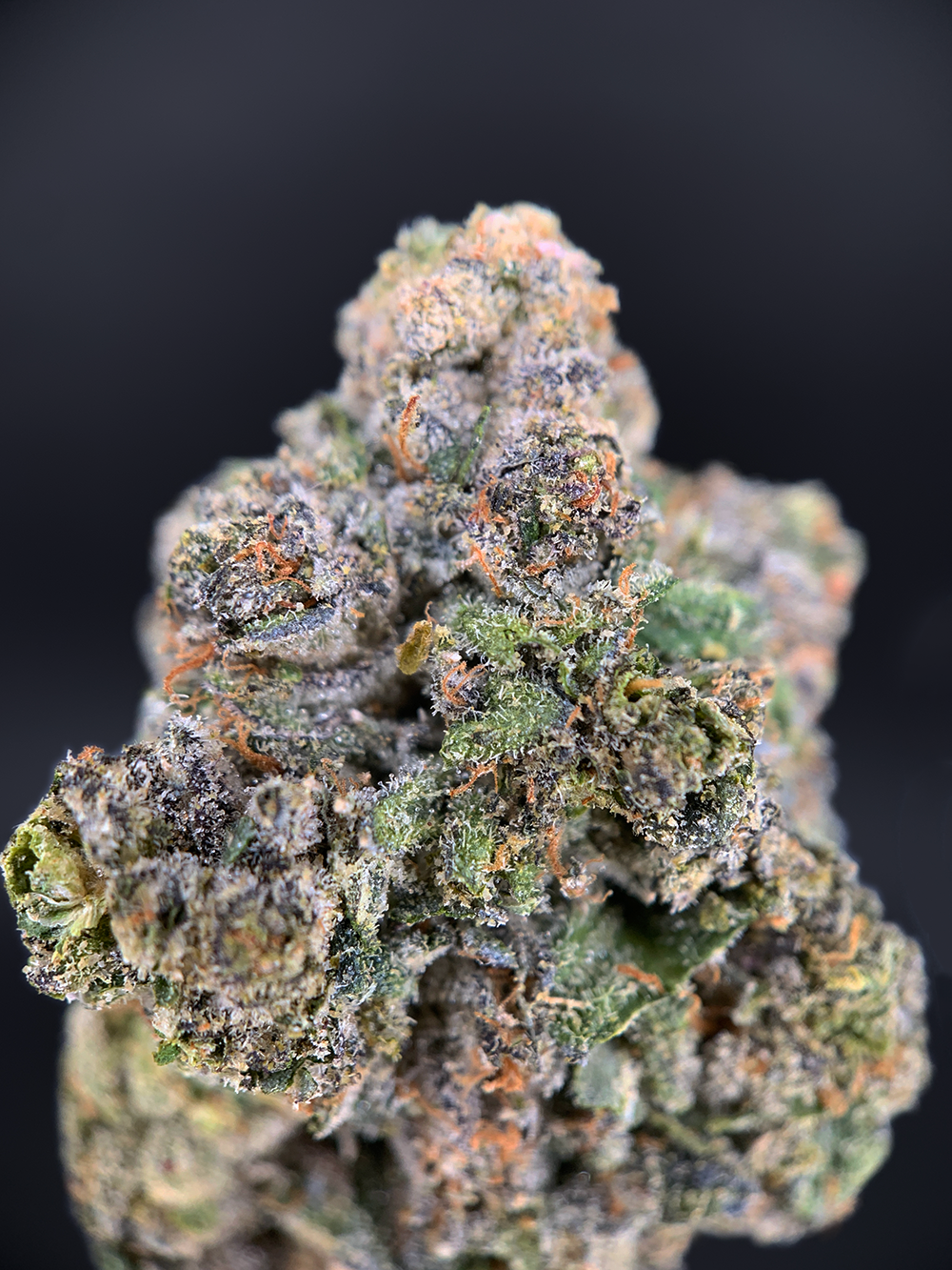 Cake Face hybrid cannabis strain (27–30% THC) with creamy vanilla flavor and balanced relaxing effects, available for weed delivery in Washington DC and Northern Virginia via District Connect.