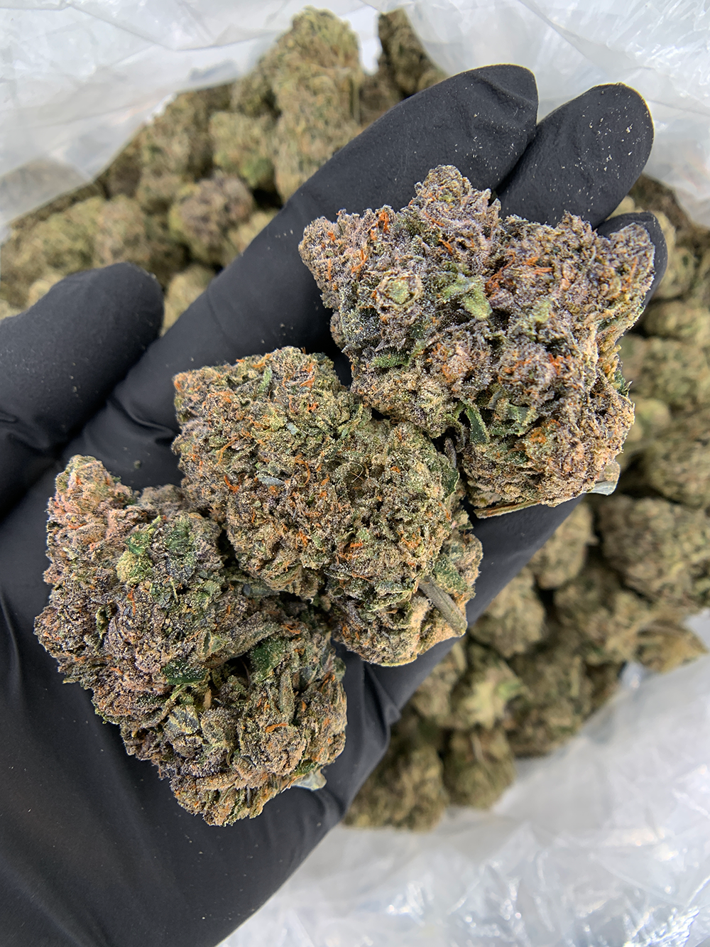 Cake Face hybrid cannabis strain (27–30% THC) with creamy vanilla flavor and balanced relaxing effects, available for weed delivery in Washington DC and Northern Virginia via District Connect.