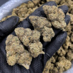 Coochie Runtz hybrid strain 29-33% THC available for weed delivery in Washington DC Virginia Maryland Richmond VA