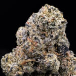 Coochie Runtz hybrid strain 29-33% THC available for weed delivery in Washington DC Virginia Maryland Richmond VA