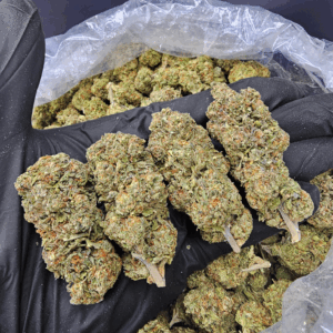 Gorilla Cake indica hybrid strain (23-26% THC) with sweet chocolate cake flavor and gas notes – available for weed delivery in Washington DC and Northern Virginia via District Connect.