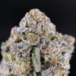 Iceman cannabis strain with 30–31% THC, minty vanilla aroma, balanced hybrid effects, available for weed delivery in Washington DC and Northern Virginia via District Connect.