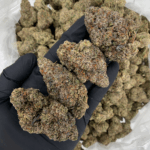 Jelly Roll indica hybrid cannabis strain with 24–28% THC, sweet berry and grape aroma, available for weed delivery in Washington DC and Northern Virginia via District Connect.
