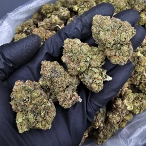 Jolly Rancher indica-dominant hybrid flower with 20–25% THC from District Connect available for weed delivery in Washington DC, Virginia, Maryland, and Richmond VA.
