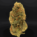 Mango Crush sativa-dominant hybrid (20–23% THC) with tropical mango flavor and uplifting daytime effects – available for weed delivery in Washington DC and Northern Virginia via District Connect.
