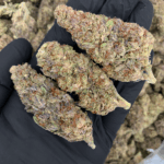 Midnight Runtz indica hybrid cannabis strain with blueberry candy flavor and 25–26% THC available for weed delivery in Northern Virginia and Washington DC via District Connect.