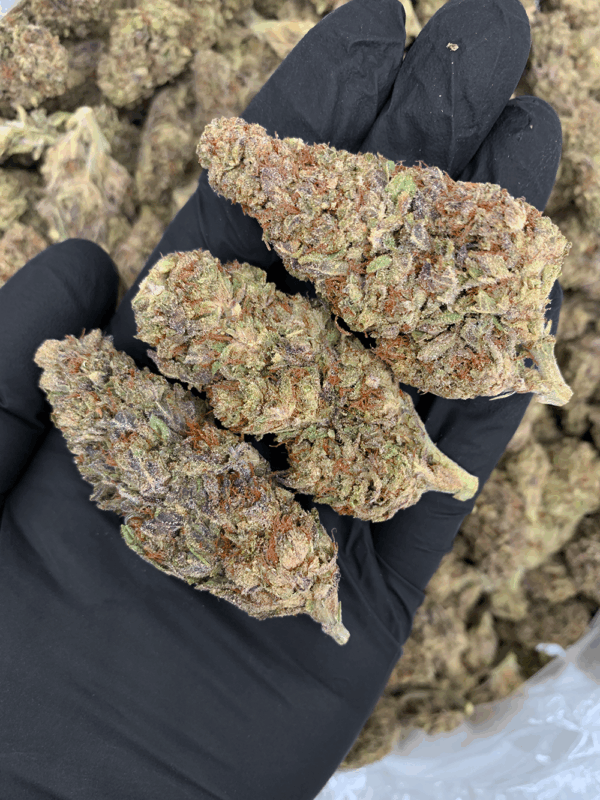 Midnight Runtz indica hybrid cannabis strain with blueberry candy flavor and 25–26% THC available for weed delivery in Northern Virginia and Washington DC via District Connect.