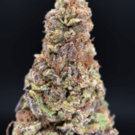 Midnight Runtz indica hybrid cannabis strain with blueberry candy flavor and 25–26% THC available for weed delivery in Northern Virginia and Washington DC via District Connect.