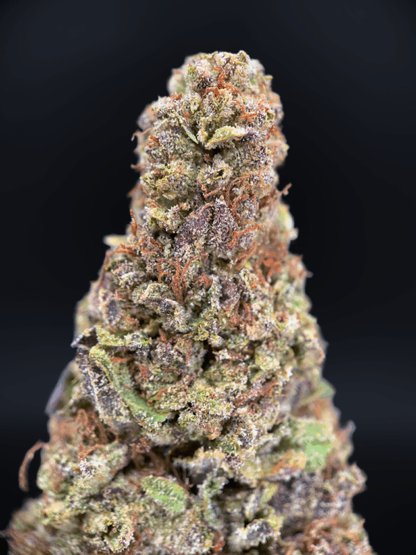 Midnight Runtz indica hybrid cannabis strain with blueberry candy flavor and 25–26% THC available for weed delivery in Northern Virginia and Washington DC via District Connect.