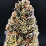 Midnight Runtz indica hybrid cannabis strain with blueberry candy flavor and 25–26% THC available for weed delivery in Northern Virginia and Washington DC via District Connect.