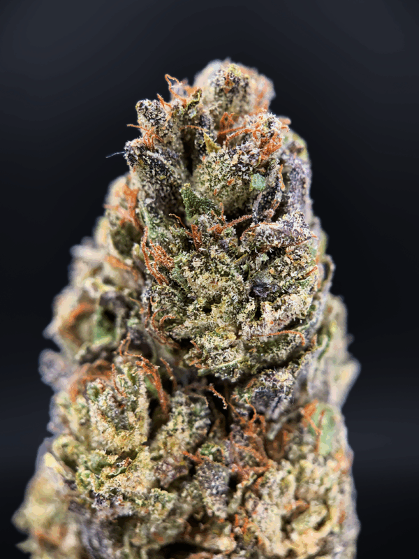 Midnight Runtz indica hybrid cannabis strain with blueberry candy flavor and 25–26% THC available for weed delivery in Northern Virginia and Washington DC via District Connect.