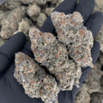 Pink Certz cannabis flower – premium hybrid strain (24–27% THC) with sparkling neon-green buds, pink-orange hairs, and frosty golden-pink trichomes. Available for weed delivery in Washington DC, Arlington, Alexandria, and Fairfax VA.