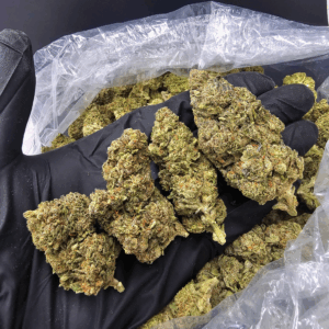 Presidential Kush indica hybrid strain (23-26% THC) with sweet citrus and woody pine notes — available for weed delivery in Washington DC and Northern Virginia via District Connect.