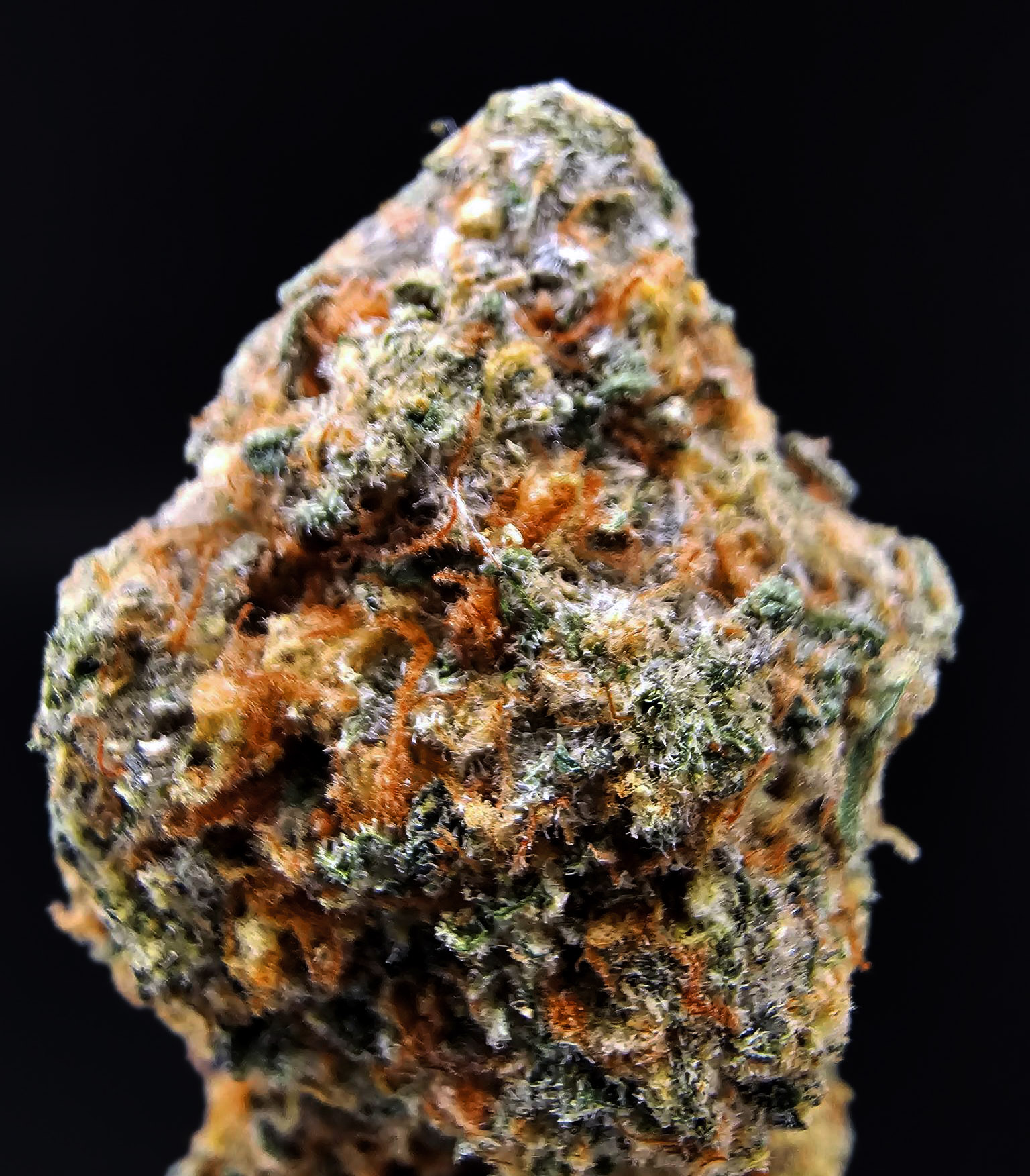 Prietosa Hills Hybrid 29â32% THC Weed Delivery in DC, Virginia, Maryland, Richmond VA