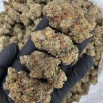 Temptation hybrid strain (29–30% THC) with cookie dough flavor, creamy chocolate aroma, and euphoric relaxing effects, available for weed delivery in Washington DC and Northern Virginia via District Connect.