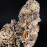 California Breezy by Lumpy’s Flowers — forest-green and purple craft buds with bright orange pistils and heavy frosting, 30%+ THC sativa-dominant hybrid, available for Washington DC & Northern Virginia delivery via District Connect.