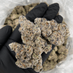 Chrome Dome by Maven Genetics – premium craft flower with sugar coated buds, vivid green & purple, available for Washington DC and Northern Virginia delivery via District Connect.