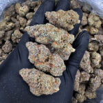 Grand Daddy Purp strain indica 28–32% THC – District Connect weed delivery in Washington DC, Virginia, Maryland, Richmond VA