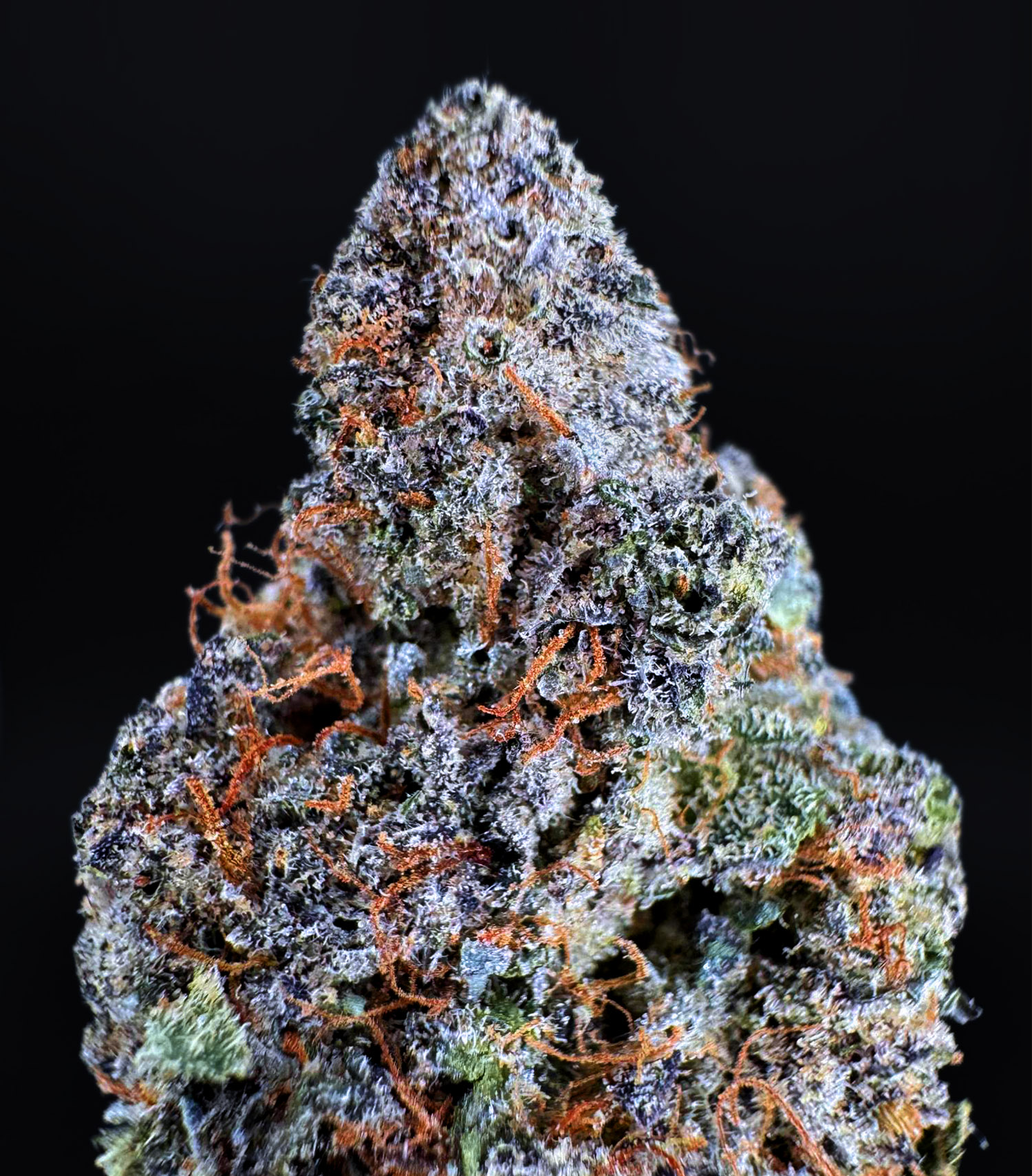 Grand Daddy Purp strain indica 28–32% THC – District Connect weed delivery in Washington DC, Virginia, Maryland, Richmond VA