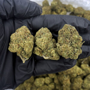 Ice Hybrid cannabis strain hybrid 20–25% THC weed delivery Washington DC Virginia Maryland Richmond VA