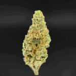 Maui Mango Diesel smalls sativa hybrid cannabis strain available for weed delivery in Washington DC, Alexandria, Arlington, Fairfax, and Richmond Virginia — tropical mango aroma, uplifting daytime high, and potent THC buds from District Connect.