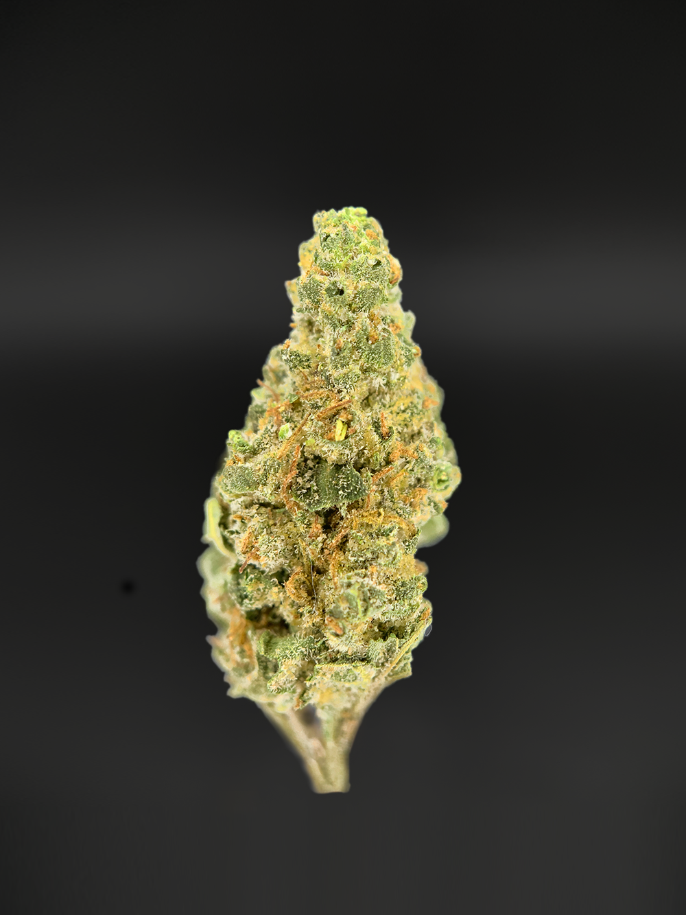 Maui Mango Diesel smalls sativa hybrid cannabis strain available for weed delivery in Washington DC, Alexandria, Arlington, Fairfax, and Richmond Virginia — tropical mango aroma, uplifting daytime high, and potent THC buds from District Connect.