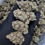 Original Glue strain, indica-dominant hybrid, 28–30% THC from District Connect for weed delivery in Washington DC, Virginia, Maryland, and Richmond VA