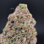 Pink Monet hybrid strain (26–30% THC) with cherry and citrus aroma, purple buds, and uplifting calm effects, available for weed delivery in Washington DC and Northern Virginia via District Connect.