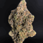 Pink Monet hybrid strain (26–30% THC) with cherry and citrus aroma, purple buds, and uplifting calm effects, available for weed delivery in Washington DC and Northern Virginia via District Connect.