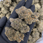 Pink Monet hybrid strain (26–30% THC) with cherry and citrus aroma, purple buds, and uplifting calm effects, available for weed delivery in Washington DC and Northern Virginia via District Connect.