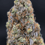 Temptation hybrid strain (29–30% THC) with cookie dough flavor, creamy chocolate aroma, and euphoric relaxing effects, available for weed delivery in Washington DC and Northern Virginia via District Connect.
