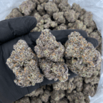 Zoza by Wizard Trees – dense olive-green & purple designer buds with heavy trichome frosting, 37-38% THC craft flower available for Washington DC delivery via District Connect.