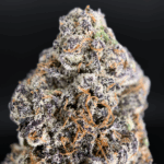 Zoza by Wizard Trees – dense olive-green & purple designer buds with heavy trichome frosting, 37-38% THC craft flower available for Washington DC delivery via District Connect.