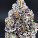 Zoza by Wizard Trees – dense olive-green & purple designer buds with heavy trichome frosting, 37-38% THC craft flower available for Washington DC delivery via District Connect.