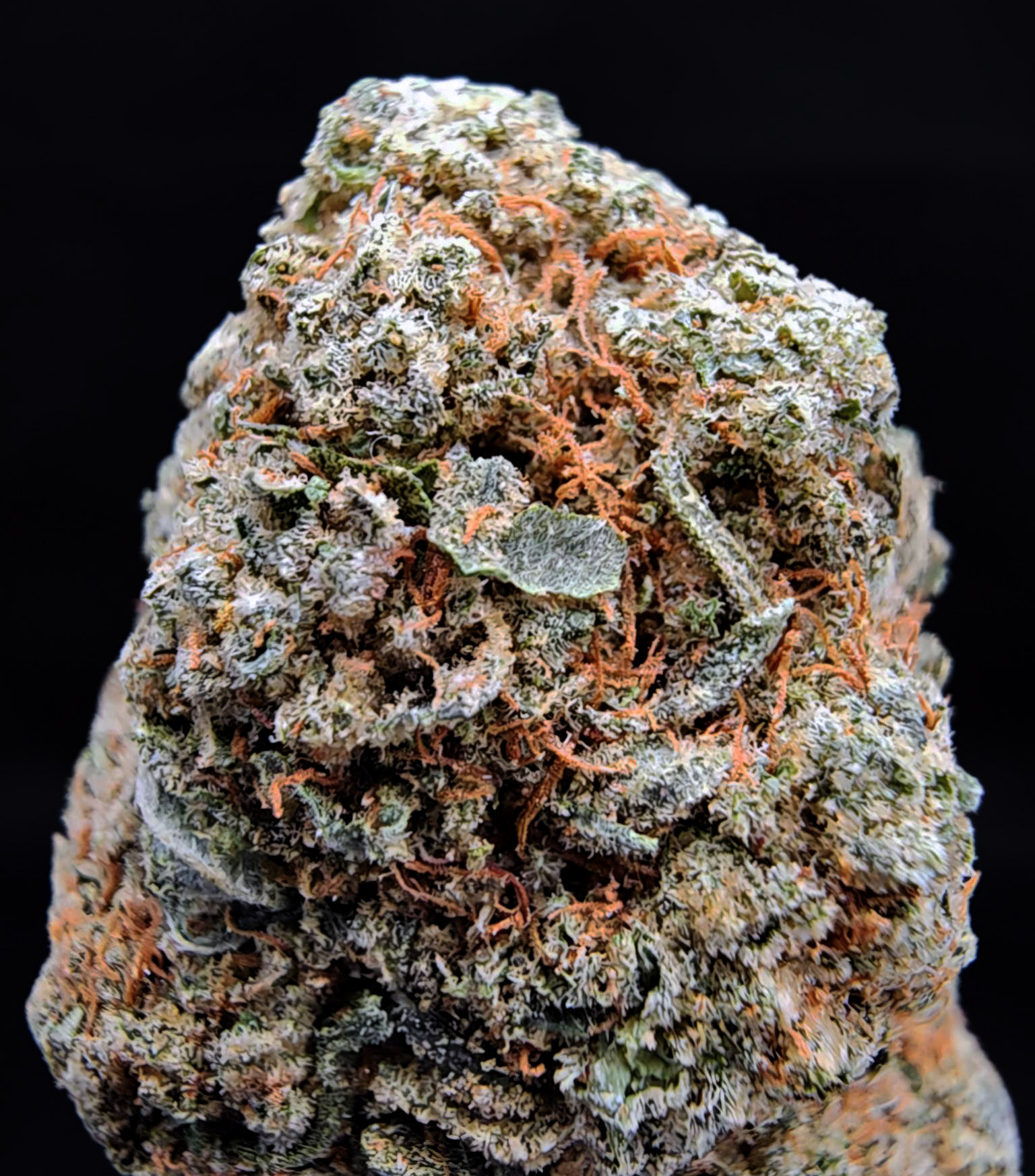 Alien Gorilla strain, indica-dominant hybrid, 27–30% THC available for Washington DC, Virginia, Maryland, and Richmond VA weed delivery.