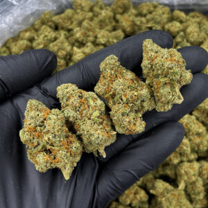 Blackberry OG indica-dominant strain ~24% THC available via weed delivery in Washington DC, Virginia, Maryland, and Richmond VA