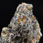 Blue Hawaiian sativa-dominant hybrid strain with 34%+ THC available via District Connect weed delivery in Washington DC, Virginia, Maryland, and Richmond VA