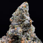 Lemon Cello hybrid strain with 34%+ THC available via District Connect weed delivery in Washington DC, Virginia, Maryland, and Richmond VA