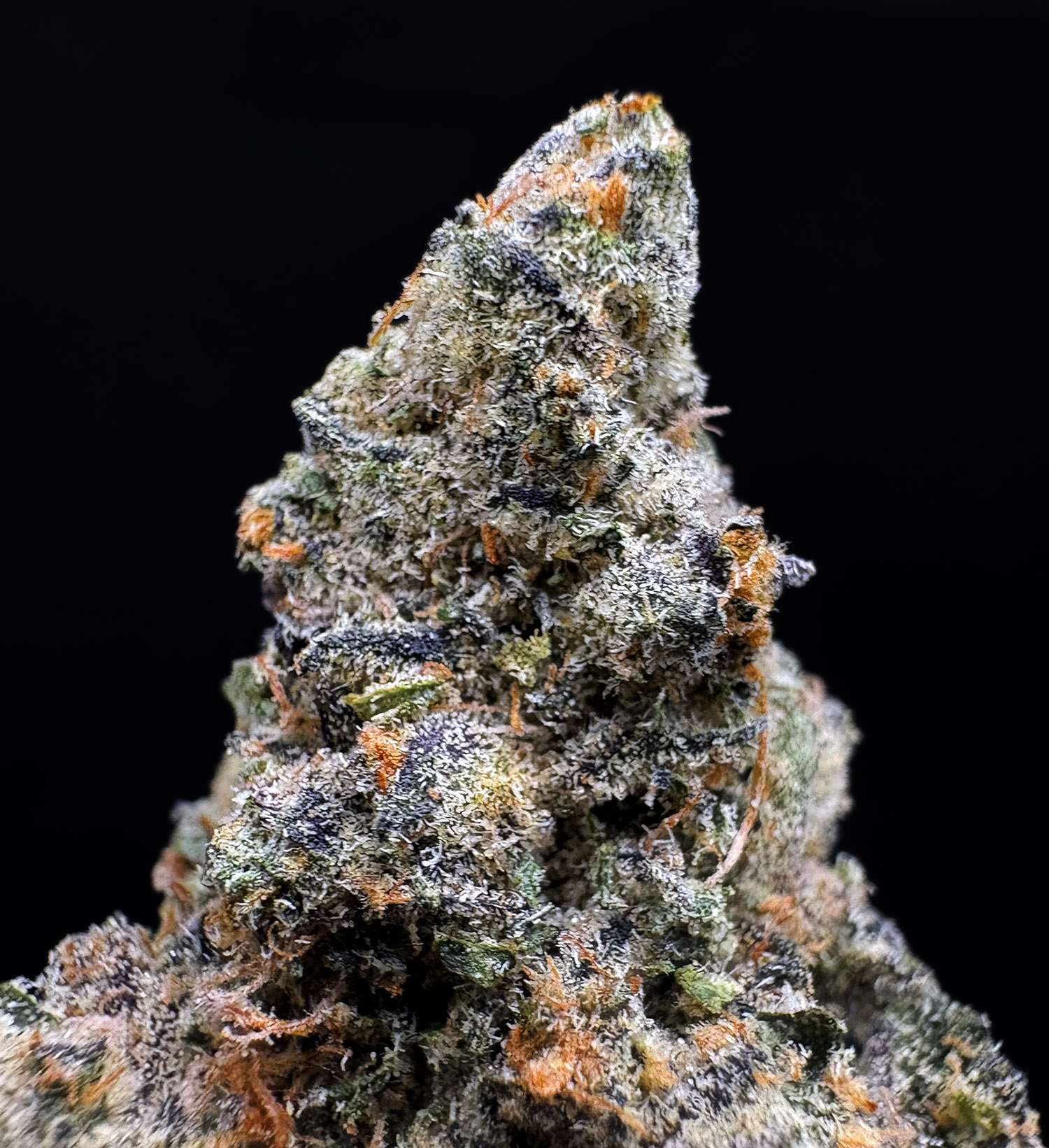 Lemon Cello hybrid strain with 34%+ THC available via District Connect weed delivery in Washington DC, Virginia, Maryland, and Richmond VA