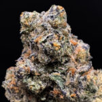 Lemon Cello hybrid strain with 34%+ THC available via District Connect weed delivery in Washington DC, Virginia, Maryland, and Richmond VA
