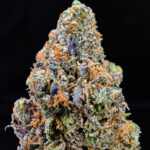 Purple Ghost strain from District Connect, indica dominant, 31–34% THC, available in Washington DC, Virginia, Maryland, and Richmond VA.